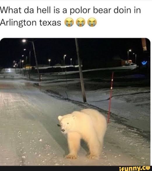 doomstan1 tweet media