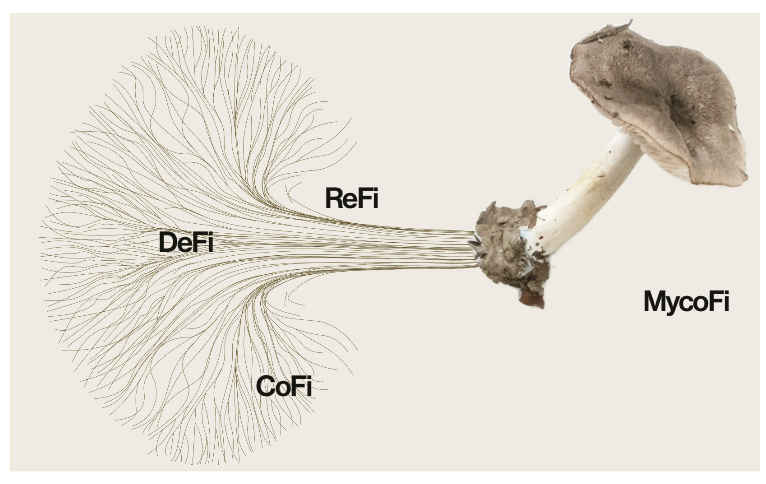 owocki's tweet image. delighted to unveil the mycofi book today 🍄

Exploring MycoFi: Mycelial Design Patterns for Web3 and Beyond guides readers on an underground exploration into the world wise web of mycelial networks, the most prolific producers of public goods on Earth. 

This book examines how…