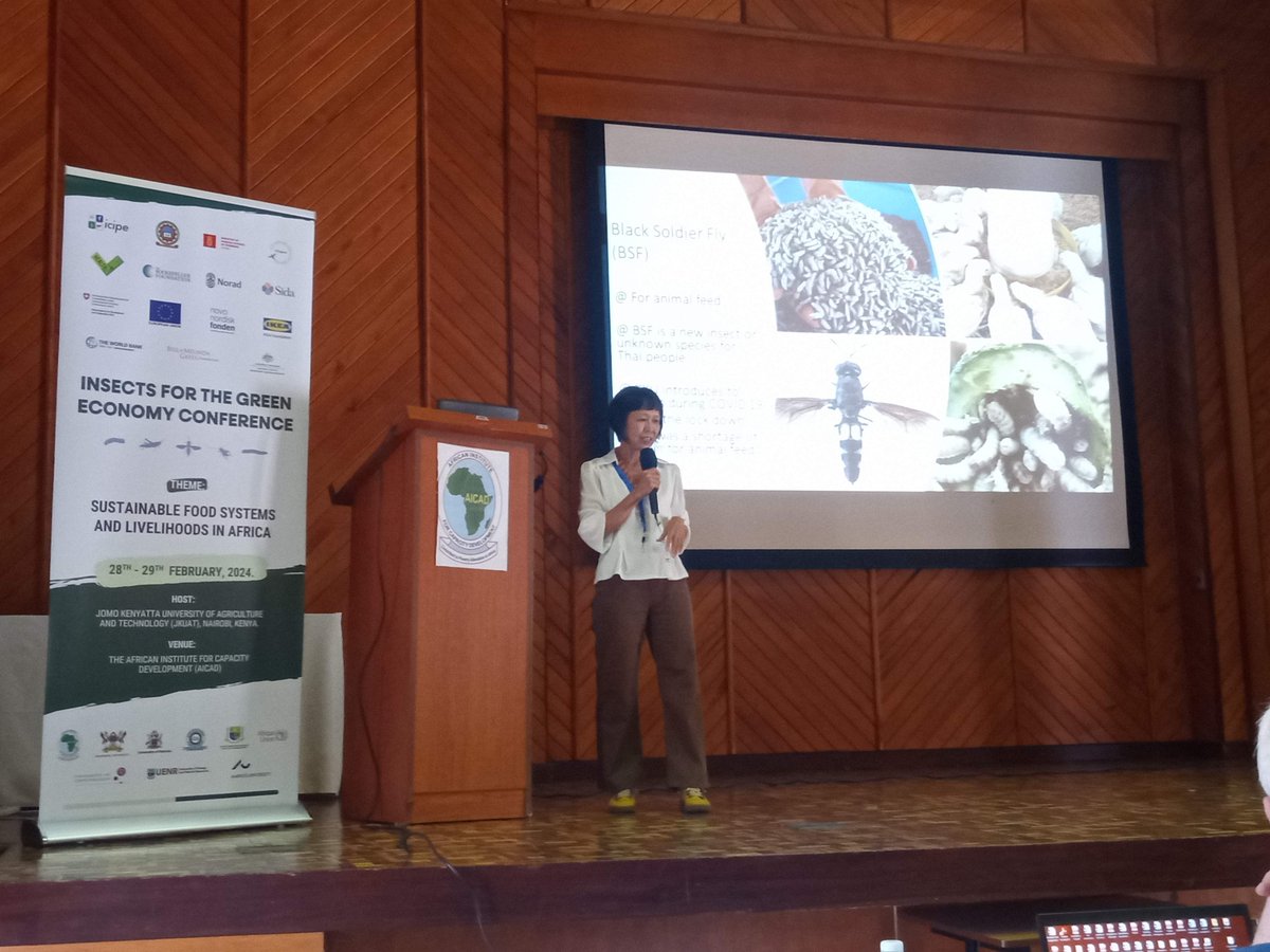GREEiNSECT's tweet photo. @AICAD_Kenya Green Economy Insect conference highlight: Dr Yupa Hanbonsoong shared +25 years experience from the engine room of the Thai edible insect sector. The cradle of cricket farming, semi-cultured red ants, sugarcane weevil, industrial BSF 🦗 PPP with government backup https://t.co/8X0V6PmpUp
