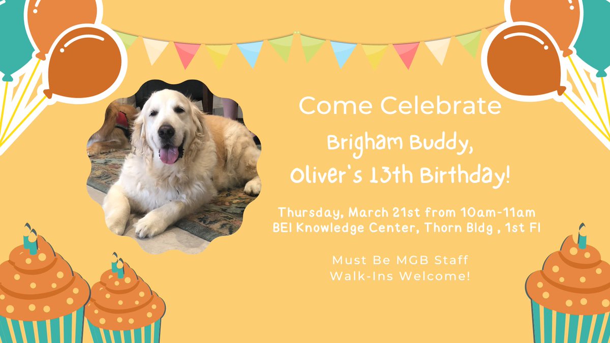 Join the #BrighamBuddies to celebrate Oliver, the therapy dog's 13th birthday on 3/21/24, 10-11am @BrighamBEI! @BrighamWomens @BWH_STRATUS @BWHiHub @BWHNeurology @CSPH_BWH @steppingstrong1 @BrighamEndo @MassGenBrigham @BrighamResearch @BrighamThoracic bit.ly/oliver-13th-bi…