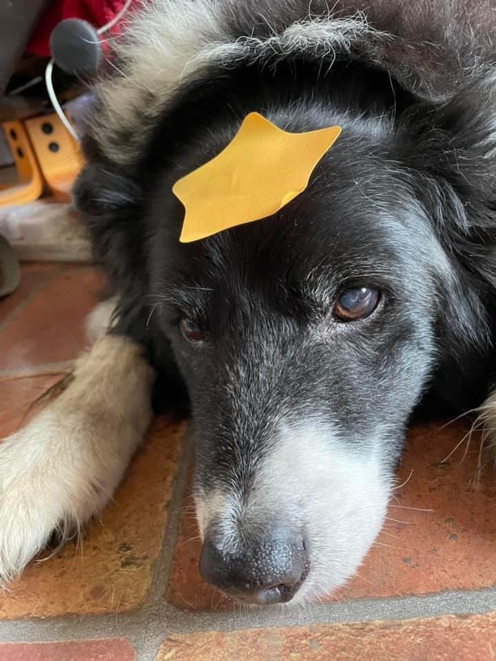 Michelle Benton tweet media