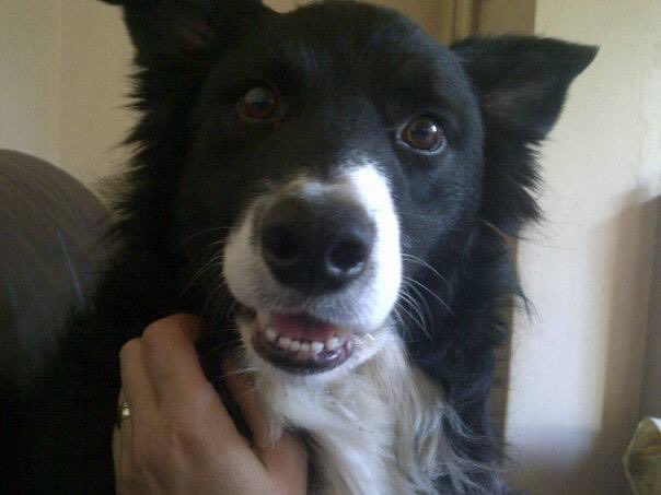 Michelle Benton tweet media