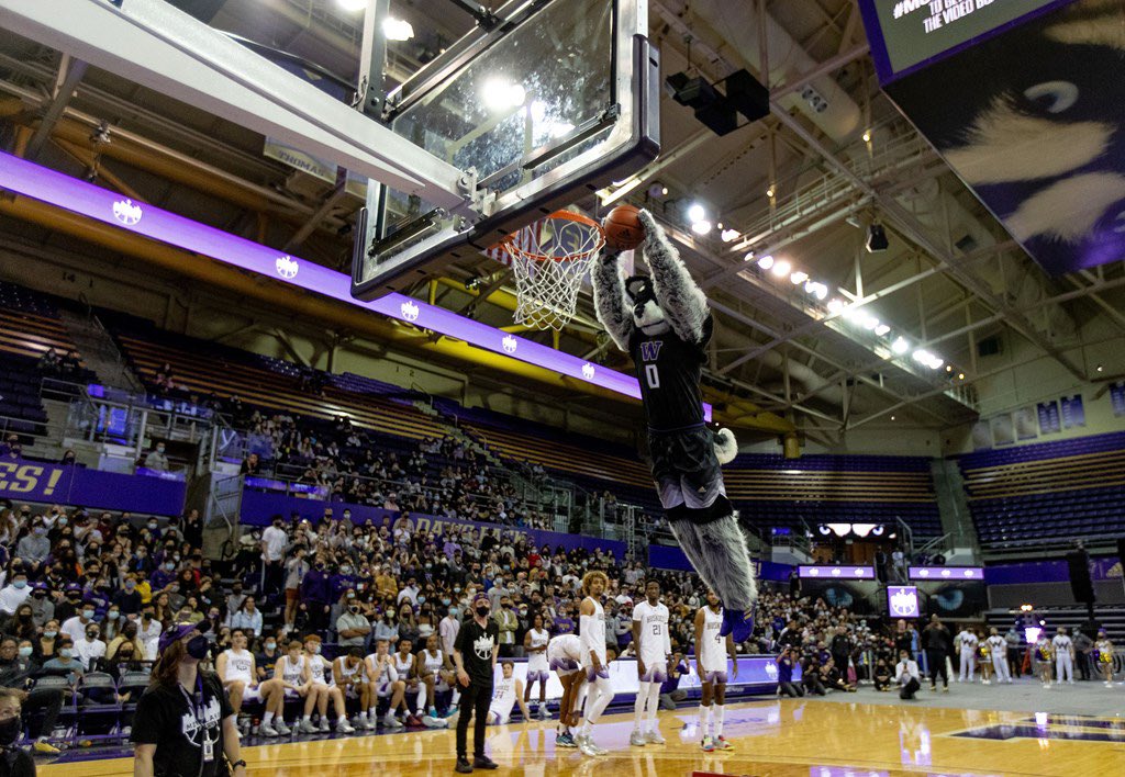 Happy leap day!!! @UW_MBB can I dunk again? #WOOF