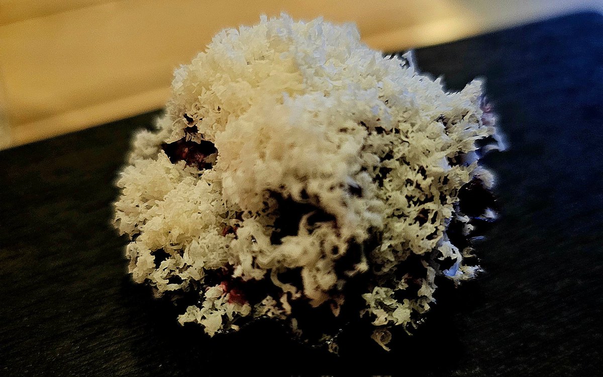 Beetroot Tart Boyne Valley Ban
<a href="/Boynevalleyblue/">Boyne Valley Cheese</a> <a href="/Bastible111/">Bastible</a> 
<a href="/MichelinGuideUK/">The MICHELIN Guide</a>