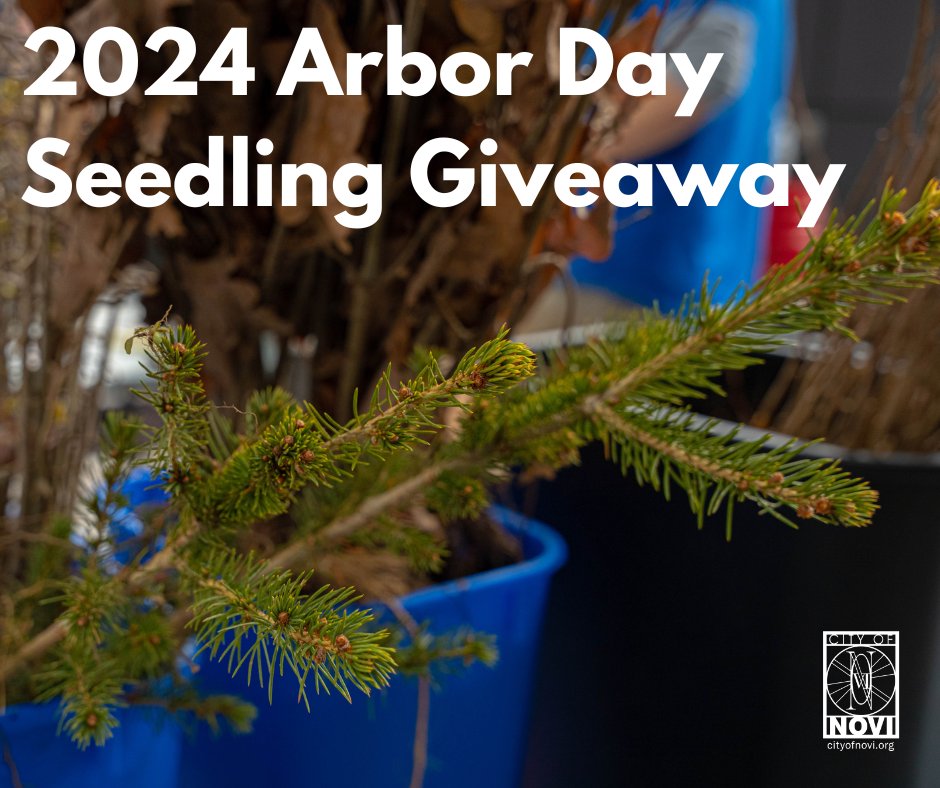 You can help the City of Novi celebrate Arbor Day and enhance your landscape by signing up to receive free tree and shrub seedlings as part of Novi’s seedling giveaway. Deadline for submissions is Sunday, March 10th. More info > arcg.is/Dba0f