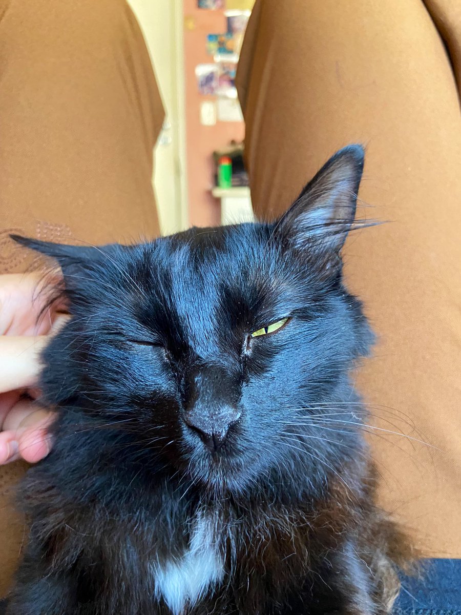 nothing but thieves tweet media