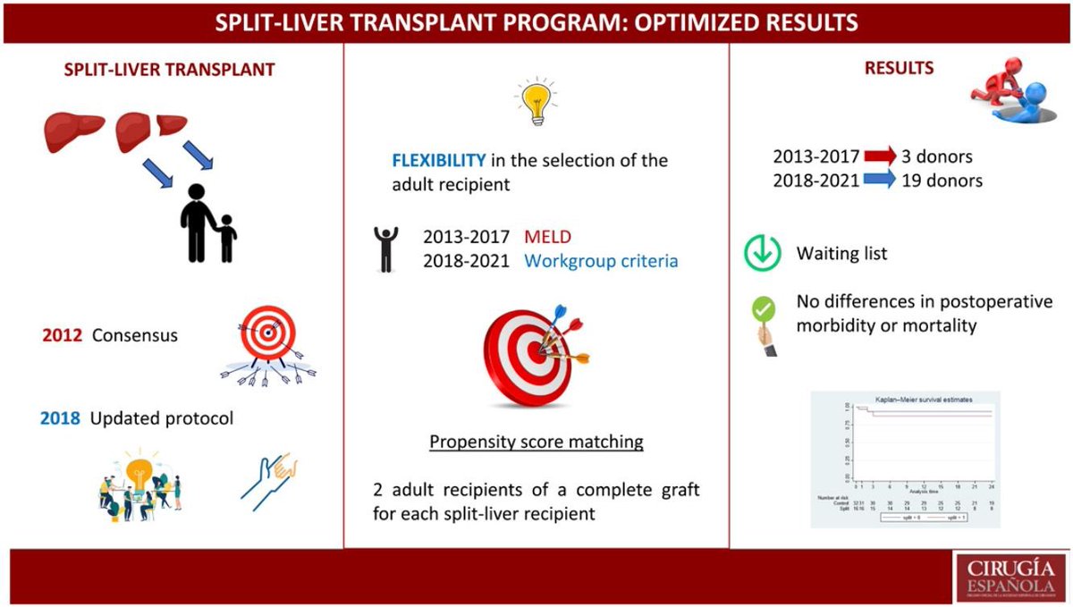 Optimized results of the liver partition program for split-liver transplantation 🆕🔝 #CirEsp #split #livertransplant

@TrasplanteAEC @aechbp @aecirujanos @cdopazo1 @GavaraGomez @Laura_Llado_ @ONT_esp @me4_so @SoMeTransplant 

🔗elsevier.es//en-revista-ci…