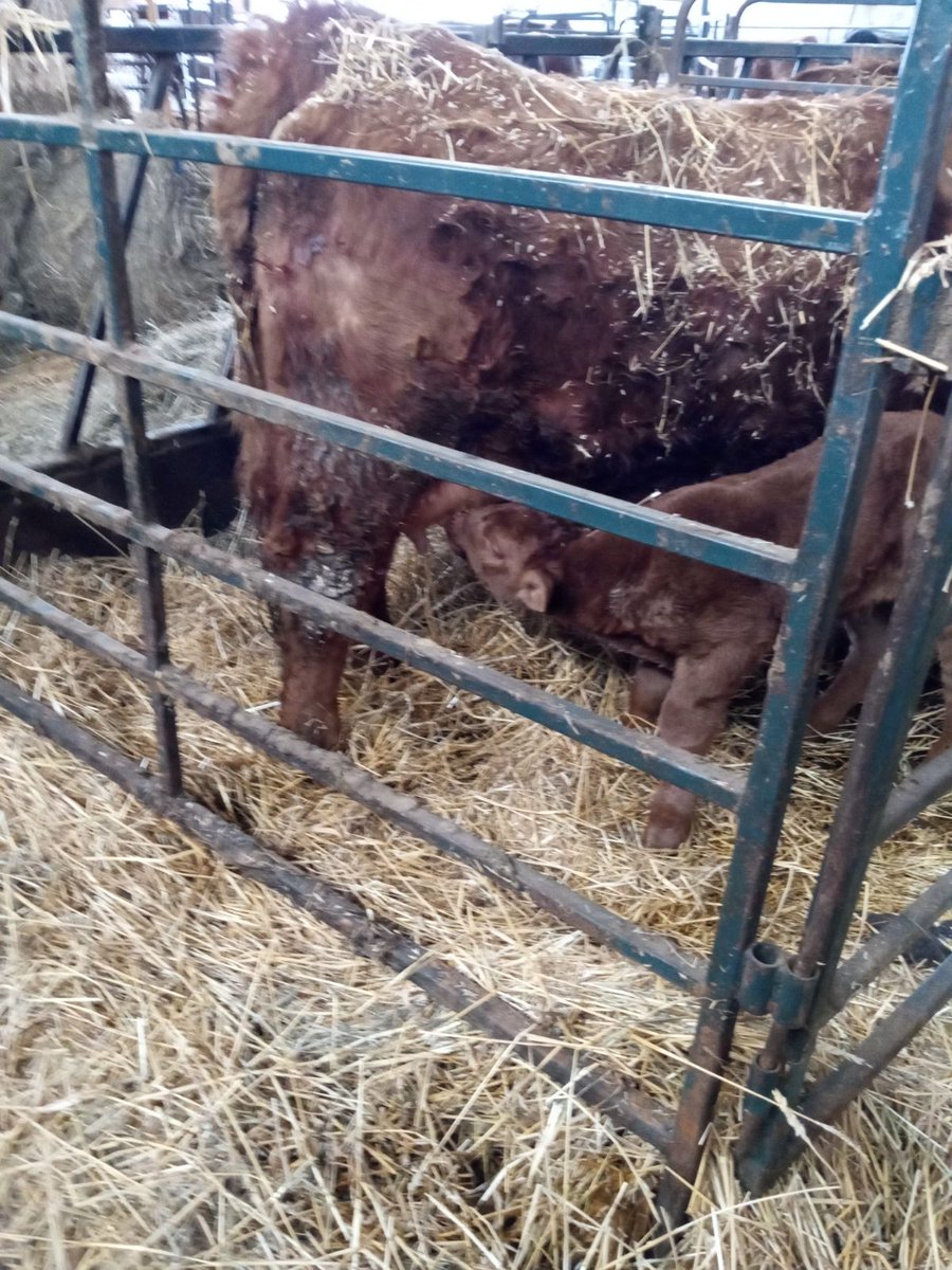 Mary Lynn Lawrence tweet media