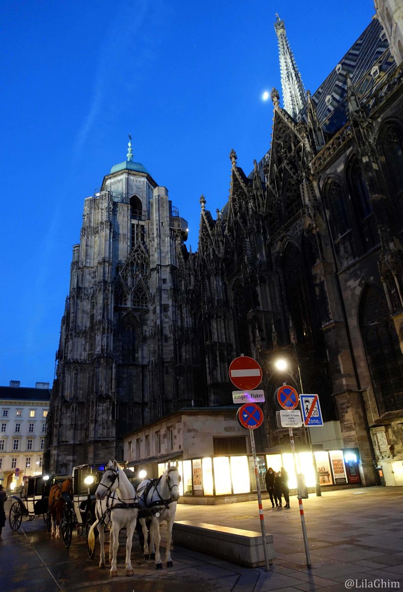 Lila Ghim🚢 tweet media