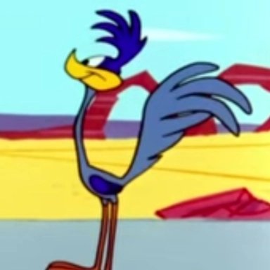 Road_Runner1949's tweet photo. Day 704 BEEP BEEP Just smelling the fresh air today.
#RoadRunnerLooneyTunes
#LooneyTunesRoadRunner
#Road_Runner1949
#daily
#Day704
#DailyDoseofRoadRunner
#DailyDose
#SaveCoyoteVsAcme
#ReleaseCoyoteVsACME
#ReleaseCoyoteVsAcme
@Road_Runner1949 https://t.co/H71VsTl7EB