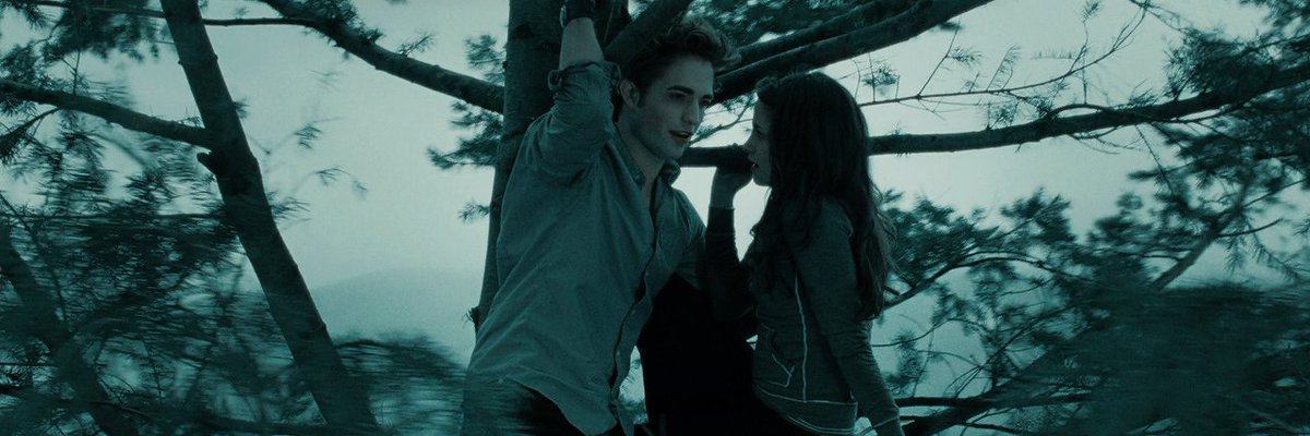 archivetwilight tweet picture
