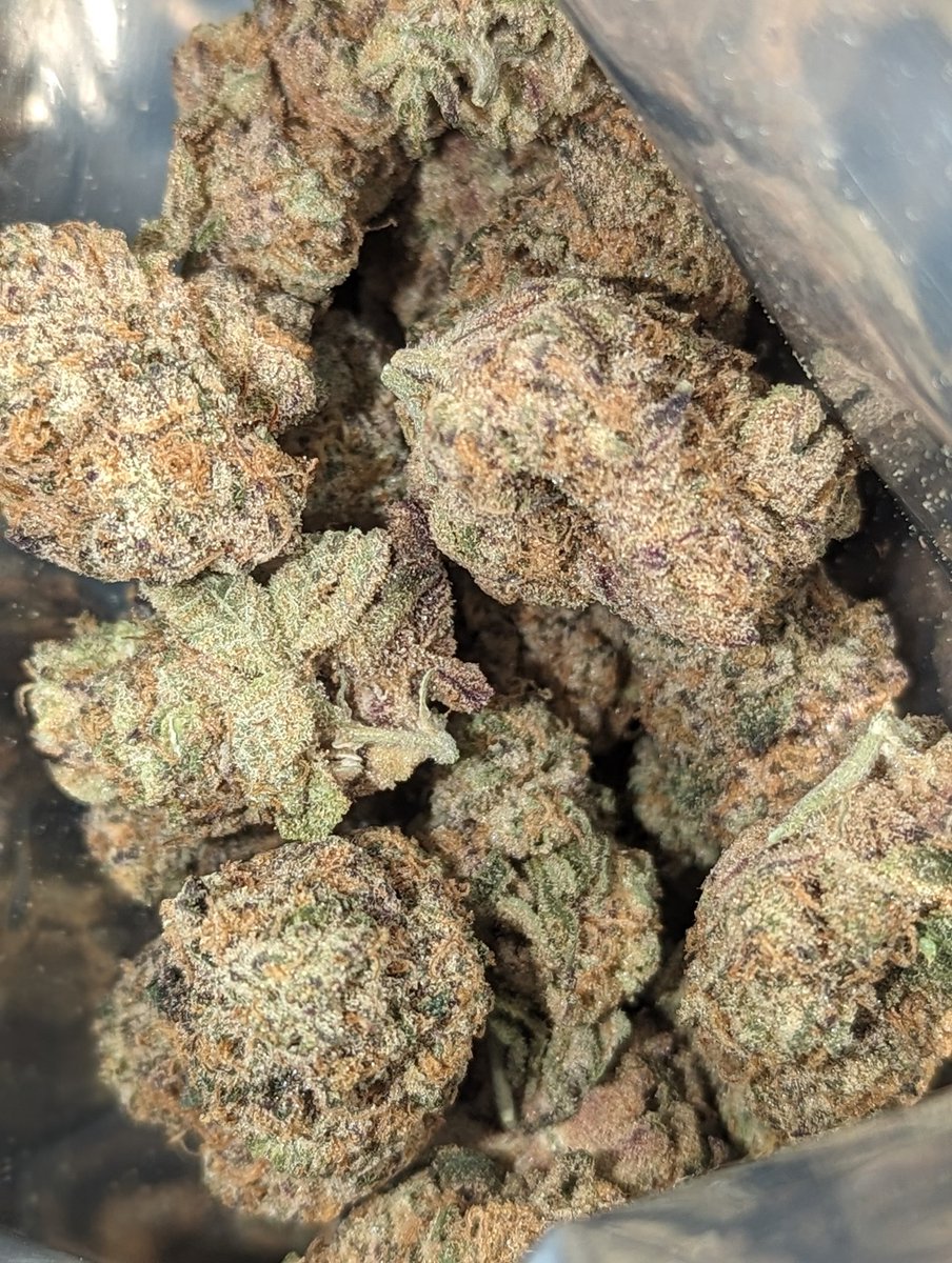 type1josh's tweet photo. See if this gets flagged 🟥 by the system like it did for insta and threads but not facebook for just posting my medication 💚 https://t.co/3efRKqiglW