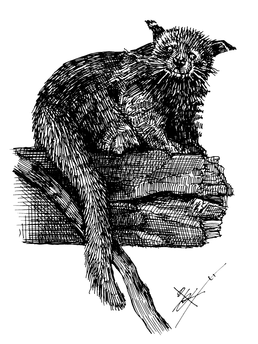 kaede_H.M@絵描き tweet media