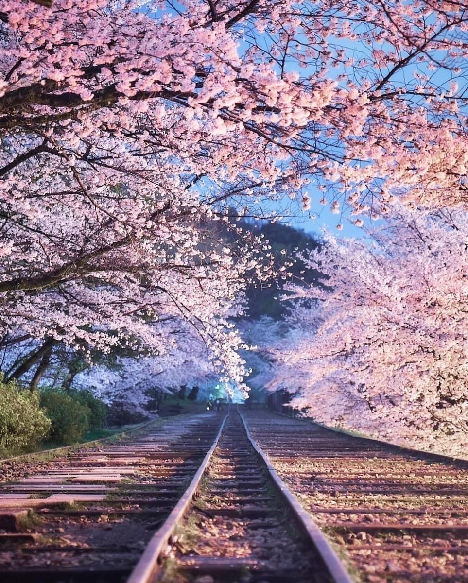 Good morning, Have a nice first day of March !