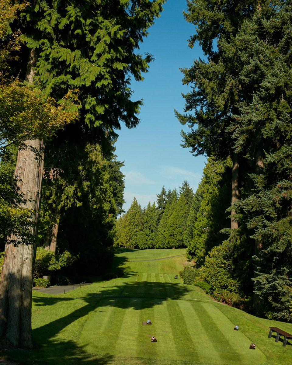 KPMG Women's PGA Championship tweet media