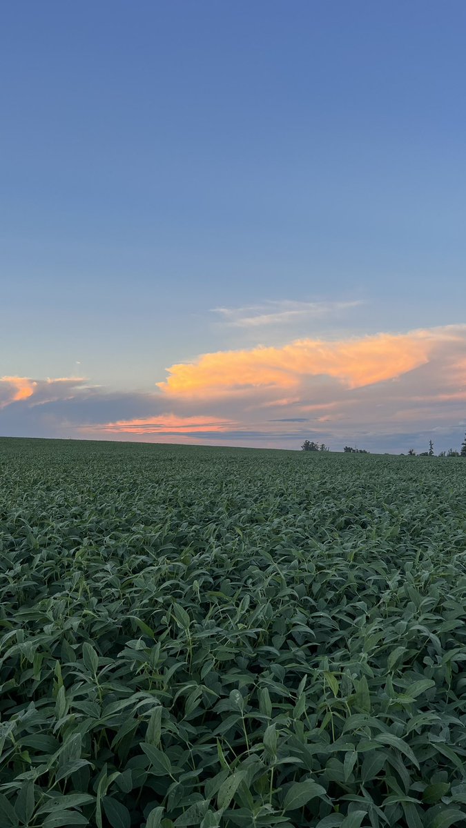 Benjamin Fornaciari tweet media