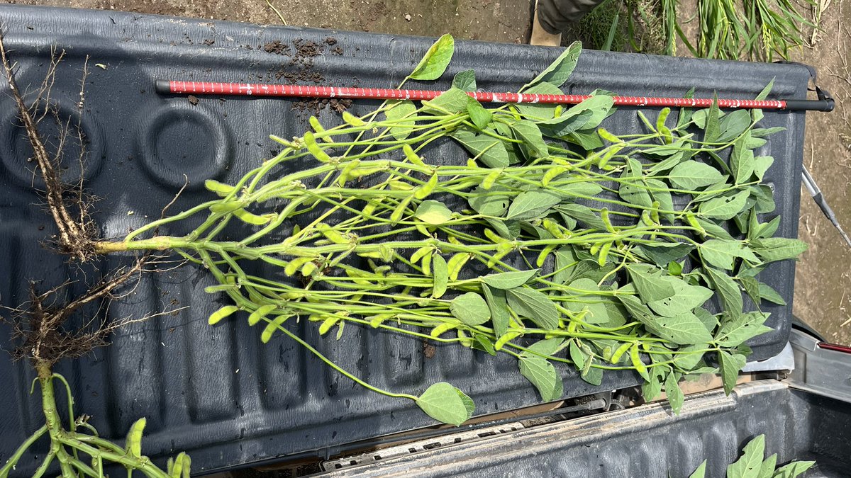 Benjamin Fornaciari tweet media