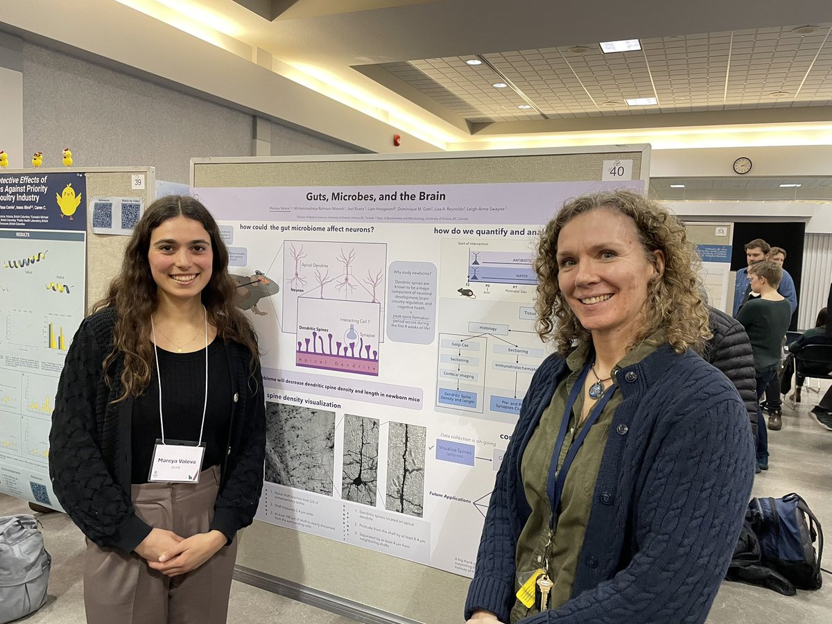 dr_swayne's tweet photo. Amazing #SwayneLab undergraduate researchers Mareya Valeva and Katie Besko gave outstanding @UVicScience Honours Fest presentations today on their collaborative work with @DrLARey and @CCameron0831! 
🔬🤩🙌
#neuroscience #cellbio #microscopy #research https://t.co/cKcyivGNi7