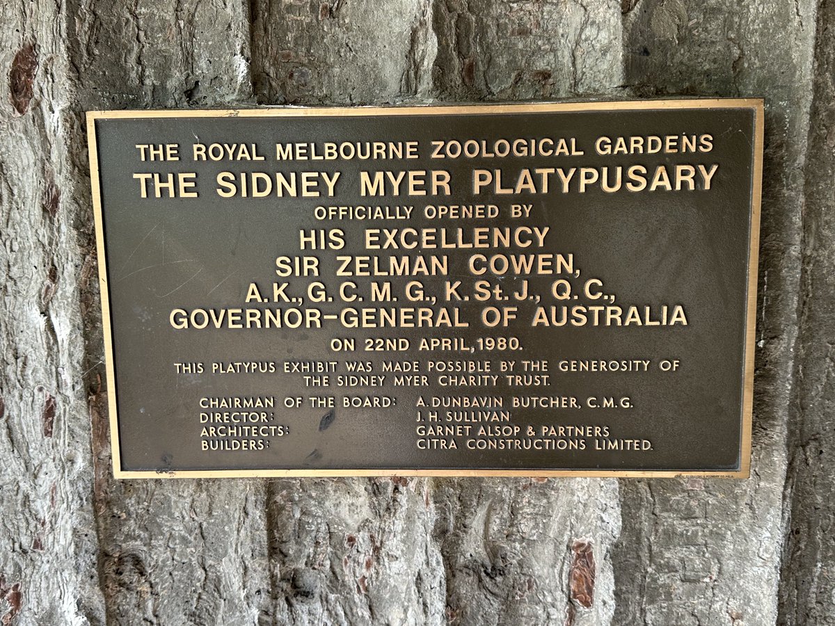 Mike Godfrey 🇨🇦 tweet media