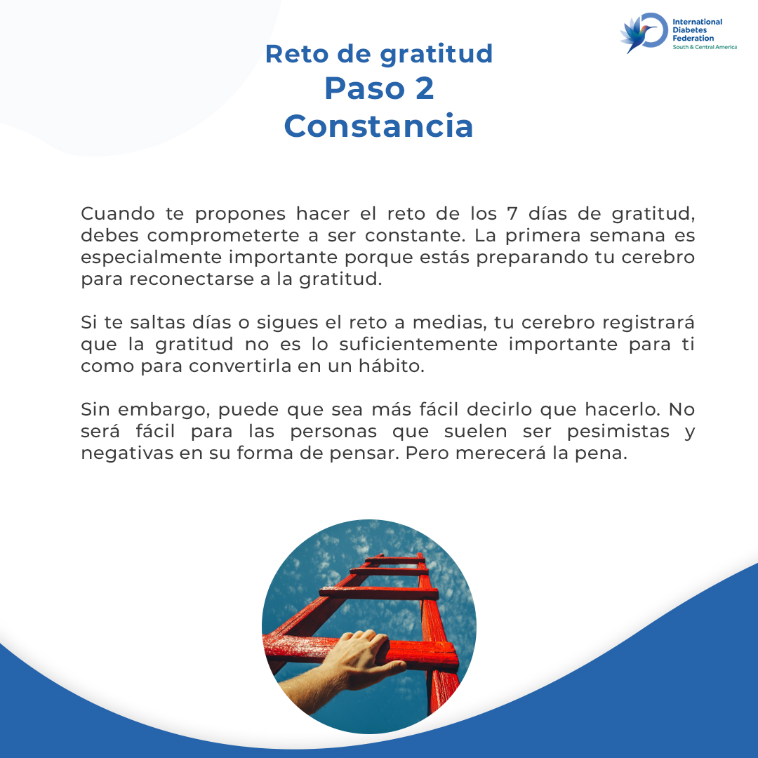 IDF Saca tweet media