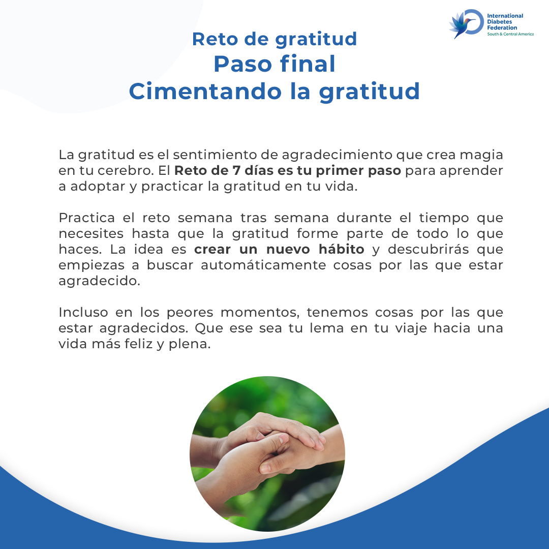 IDF Saca tweet media