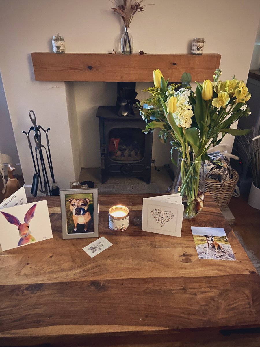 timlichfield's tweet photo. We recently lost our dog, Mindy 😔
I just want to say a big thank you to @ButternutBox who sent us a lovely card and some beautiful flowers ❤️
What a wonderful gesture x
#butternutbox #dog #thankyou #kind https://t.co/iQO4wPRllH