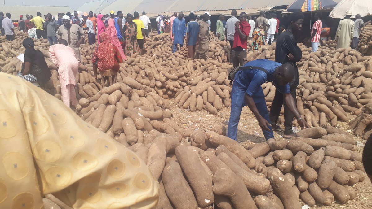 reformedjos4PO's tweet image. For these and many more, my DM is open.

#Farmproduce
#Grains
#Fooditems
#Obidients

We grow by supporting/patronising one another