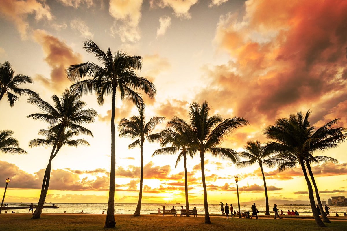 The perfect time to visit the Hawaiian Islands is now! There's always plenty of sun, but here are some things to consider: shoulder seasons, advance reservations and special events. To learn more, go to: gotravelleaders.com