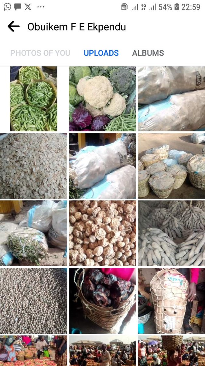 reformedjos4PO's tweet image. For these and many more, my DM is open.

#Farmproduce
#Grains
#Fooditems
#Obidients

We grow by supporting/patronising one another