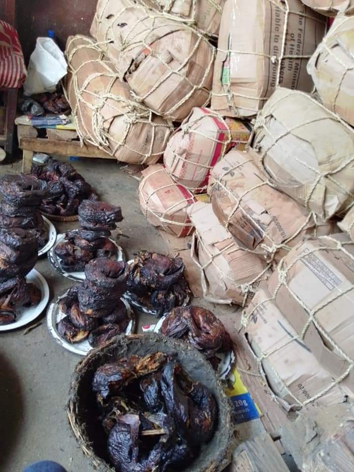 reformedjos4PO's tweet image. For these and many more, my DM is open.

#Farmproduce
#Grains
#Fooditems
#Obidients

We grow by supporting/patronising one another