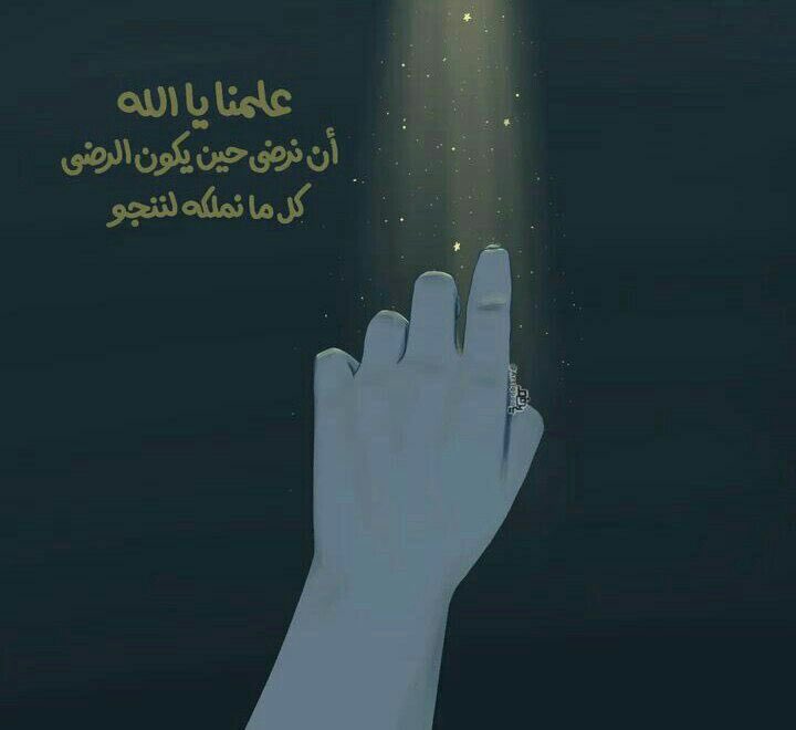 أخيليا (@gemini_z11) on Twitter photo 