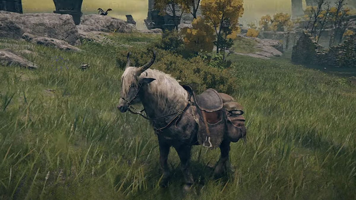 Myself | Wesker tweet media