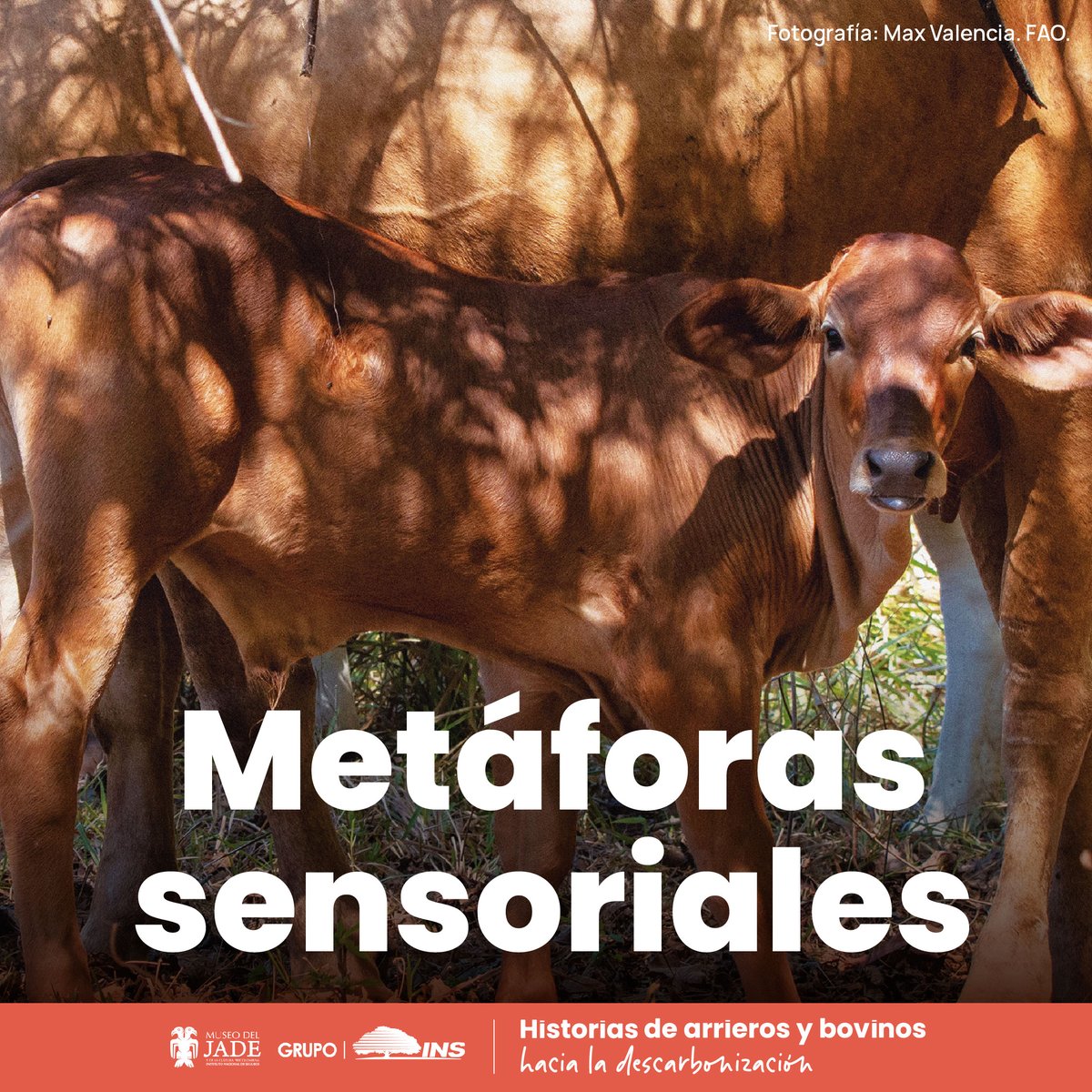 Cámara Nacional de Productores de Leche tweet media