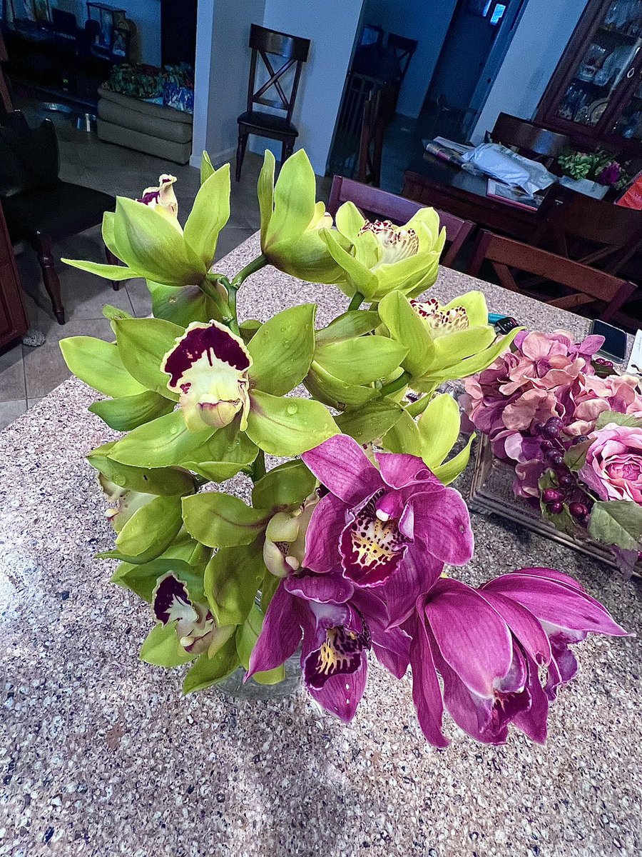 #orchids #Homegrown