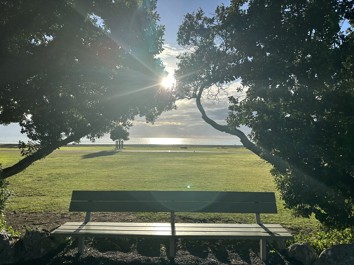 Good morning Napier! OASIS24 workshops are about to start. Look forward to seeing you all! #OASIS24 #ObsAnaes