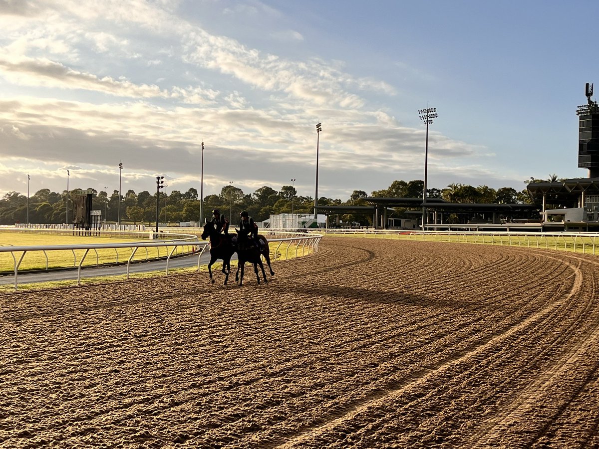 Sunshine Coast track update Weather Fine Track Synthetic Irrigation nil past 24hrs and past 7 days Rainfall nil past 24hrs Total of 7mm past 7 days Rail true entire circuit