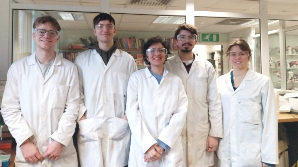 👀Looking for new group members! Home students only 🇬🇧: two fully-funded PhD and MRes positions in Durham. Think H-bond donors, phosphine ligands and transition metal catalysis! Applications received via email will be reviewed on a rolling basis - what are you waiting for? ⏰👩‍🔬👨‍🔬