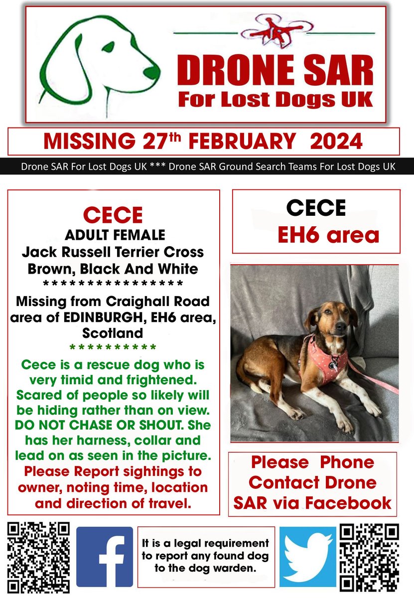 #LostDog #Alert CECE Female Jack Russell Terrier Cross Brown, Black And White (Age: Adult) Missing from Craighall Road area of EDINBURGH, EH6 area, Scotland on Tuesday, 27th February 2024 #DroneSAR #MissingDog