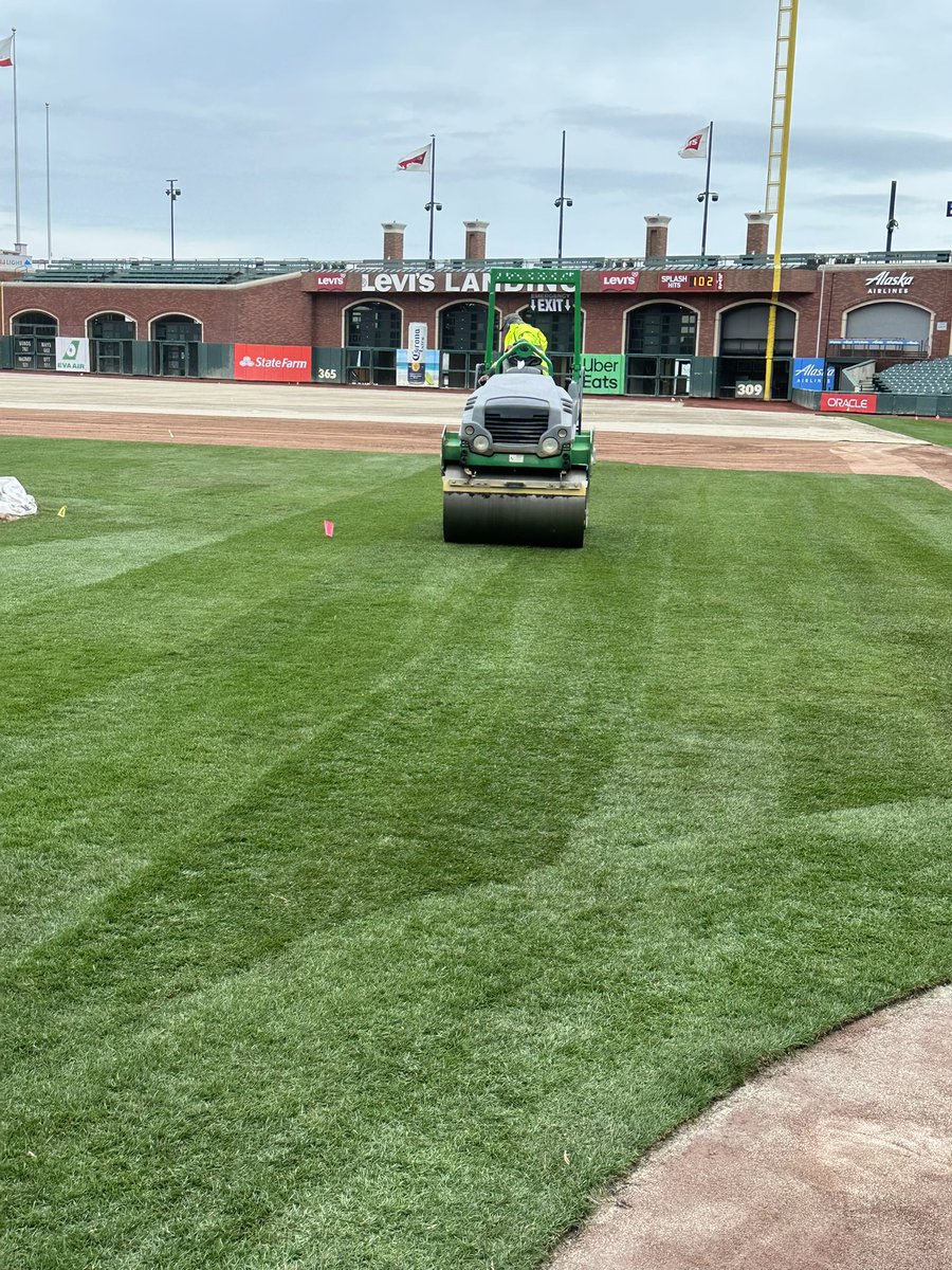 MtnView_Seeds's tweet photo. Behind the scenes at @OracleParkSF, it's all hands on deck as the groundwork for another thrilling baseball season takes shape.
#baseball #turfgrass #springtrainng #openingday #MLB #keepitreal #365ss #webelieveinbetter https://t.co/fqJ6RyRAvw
