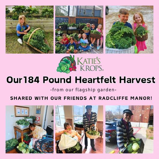 Yesterday, we shared our heartfelt harvest with our friends at Radcliffe Manor in Charleston, South Carolina. Our incredible volunteers harvested 184 lbs of @bonnieplants collards, kale, cabbage & celery. Here is to a world where we grow to love each & every day. #gardening