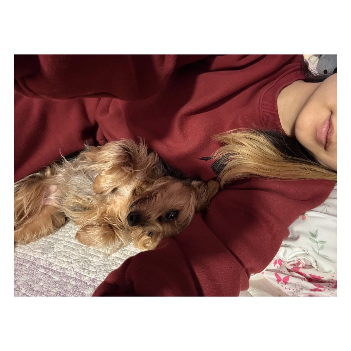 yevliii's tweet photo. Chillin with Mifa before my work shift ☺️💜 #tired #backhurts https://t.co/ZpTNR6xdiz
