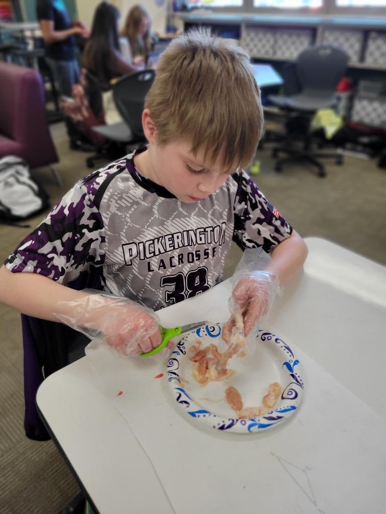 Todd'sGiftedRants tweet media