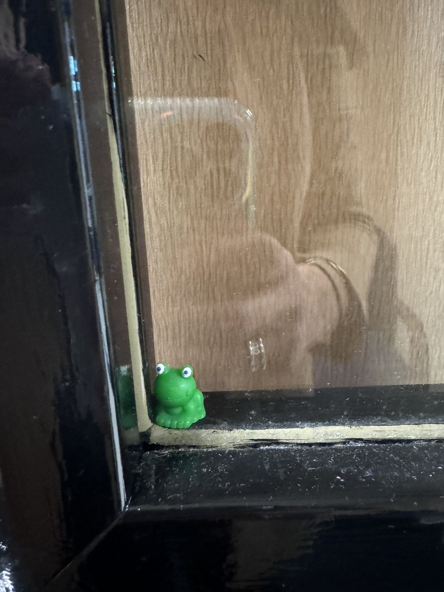 teachandcoffey's tweet photo. We’ve had some Leap Day fun today at The J. I enjoyed “hiding” the tiny 🐸 frogs. https://t.co/8n3HVUDuoG