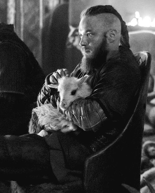 Warchillect (@warchillect) on Twitter photo 