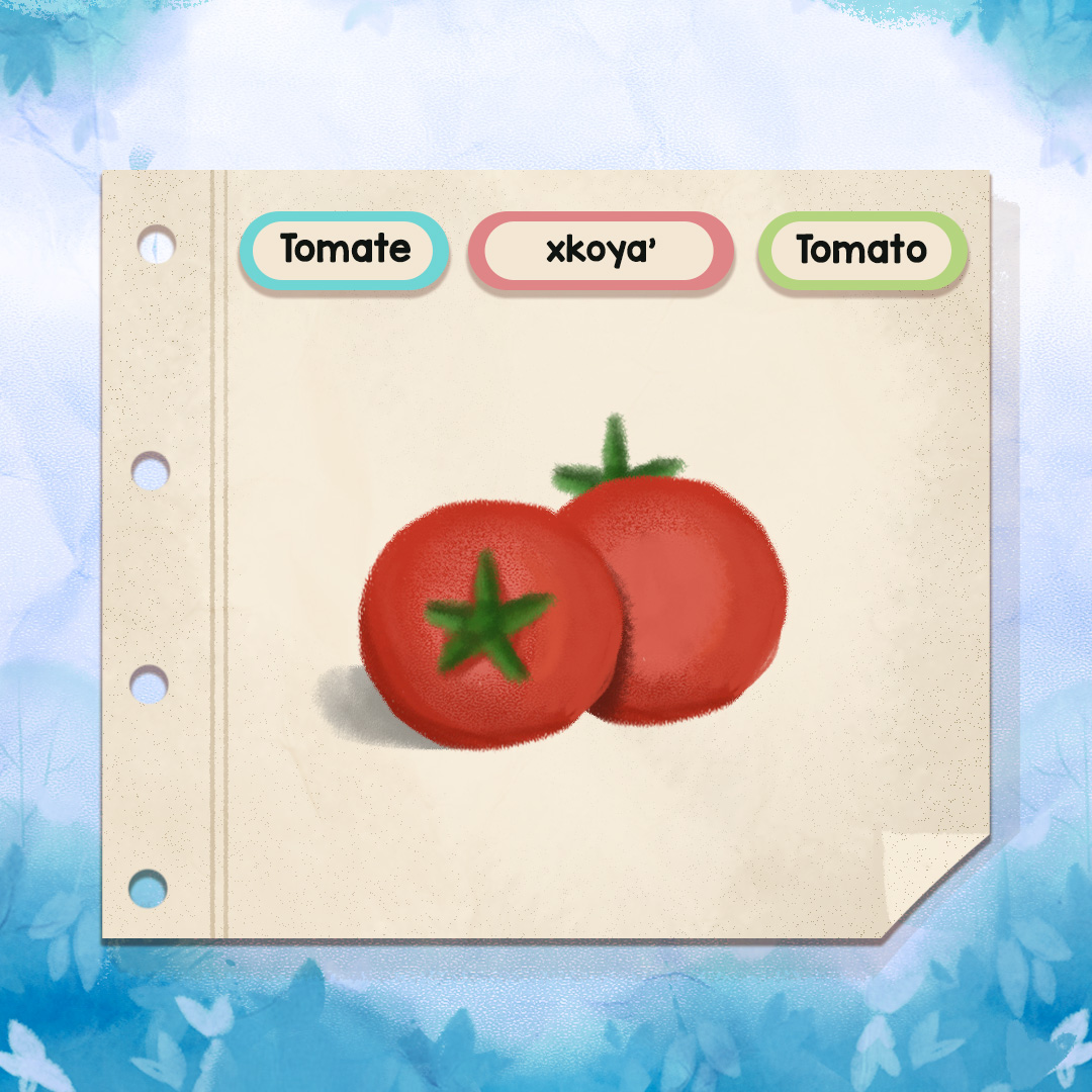 MayanToons's tweet photo. Conozcamos juntos algunas palabras en español, inglés y kaqchikel 💚🍅🌽🧅
.
.
.
#illustration #artoftheday #digitalart #illustrationartist #sketchbook #vocabulary https://t.co/fMy7QgTiYq