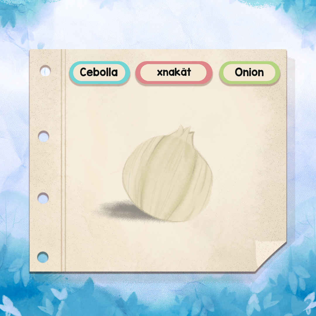 MayanToons's tweet photo. Conozcamos juntos algunas palabras en español, inglés y kaqchikel 💚🍅🌽🧅
.
.
.
#illustration #artoftheday #digitalart #illustrationartist #sketchbook #vocabulary https://t.co/fMy7QgTiYq