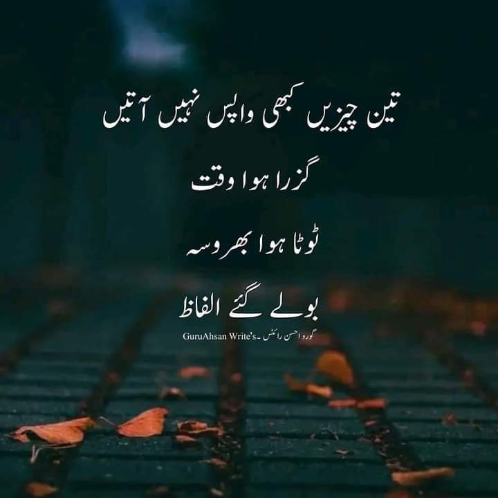Muhamma28874196's tweet photo. Aslam o alikum 
Good night https://t.co/Xdi9kPYhLm