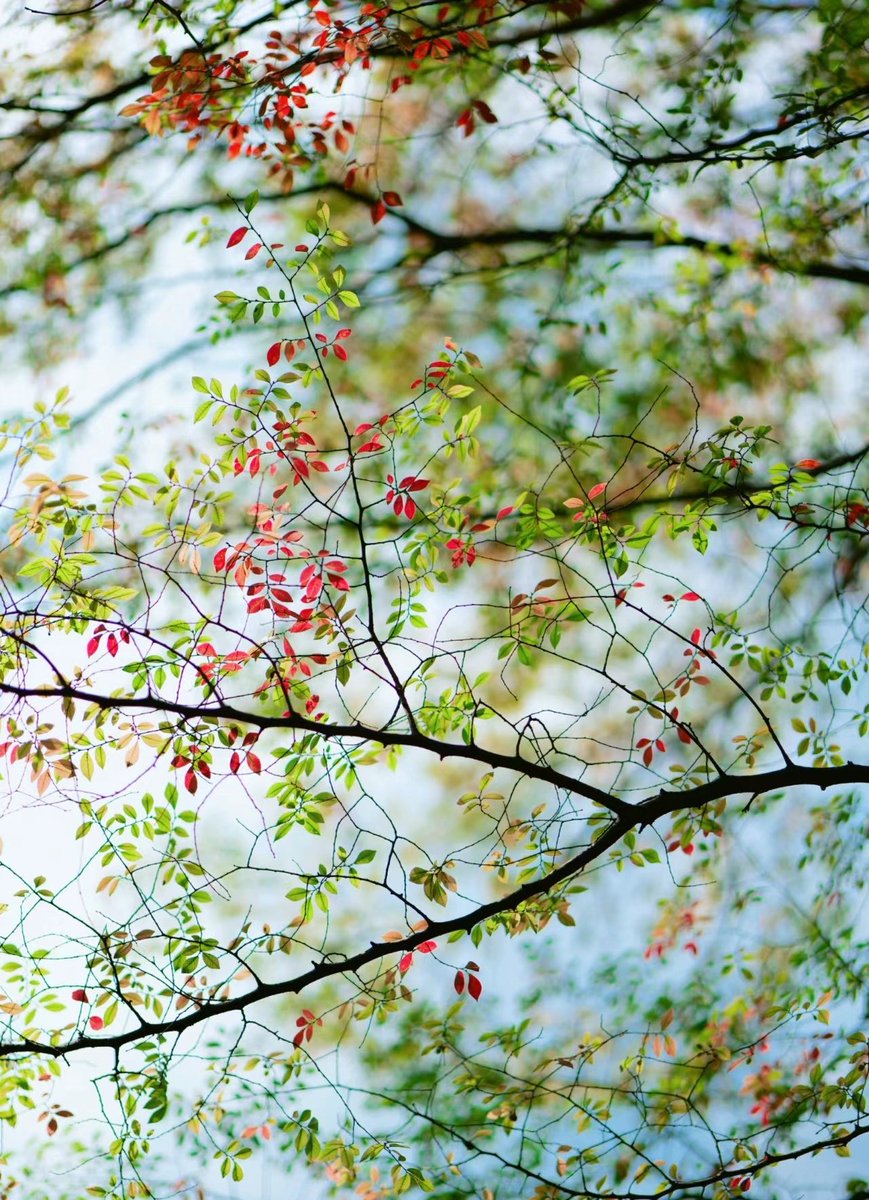 Booklicious5's tweet photo. Love note from the #nature ❤️
Sunshine and energy! 
#Spring is here!

#welcomemarch 
 #NaturePhotography https://t.co/zP2biEAEWU