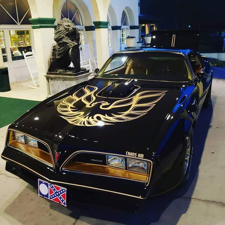 Gorgeous TransAm