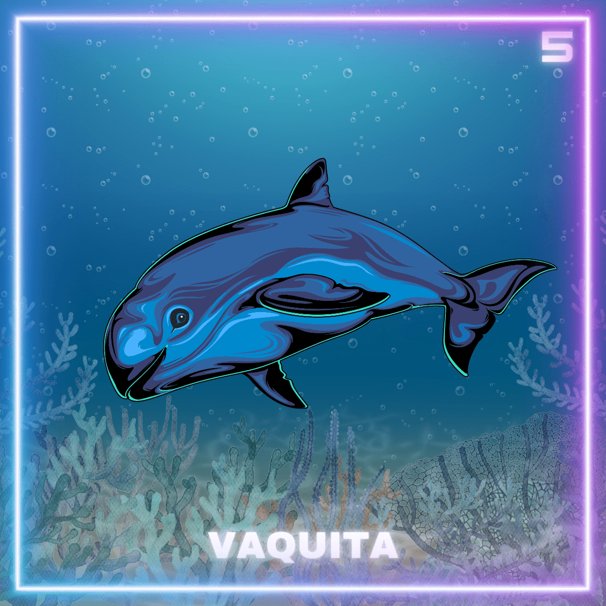 algocean.algo tweet media